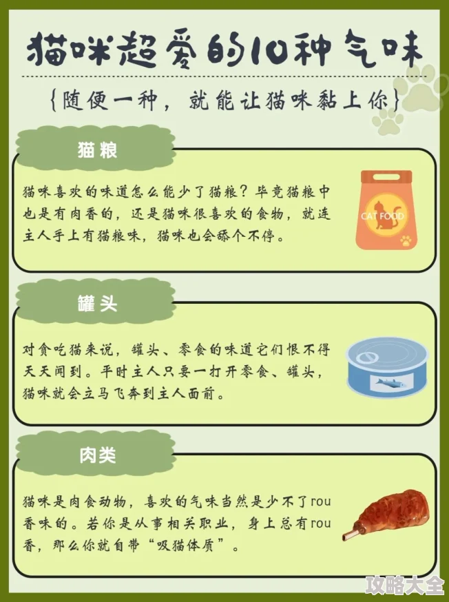 舔小豆豆探索猫咪味觉的敏感度和对不同口味的偏好