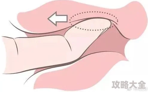 舔下面好舒服体验升级版极致快感等你来解锁