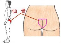 如何把自己玩成喷泉 指压特定穴位可刺激唾液腺分泌