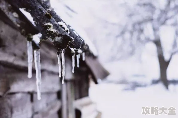 《北城有雪》晋江连载至第二十章沈南洲终于鼓起勇气向顾清欢表白