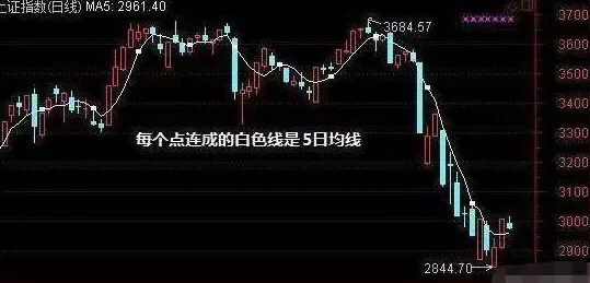 a~拍摄指南小说实战技巧更新新增夜景人像章节