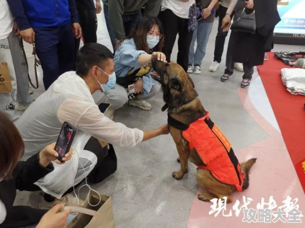 揭秘！地铁逃生最佳作战区域揭晓，惊喜消息：这个地区胜率竟高达80%！