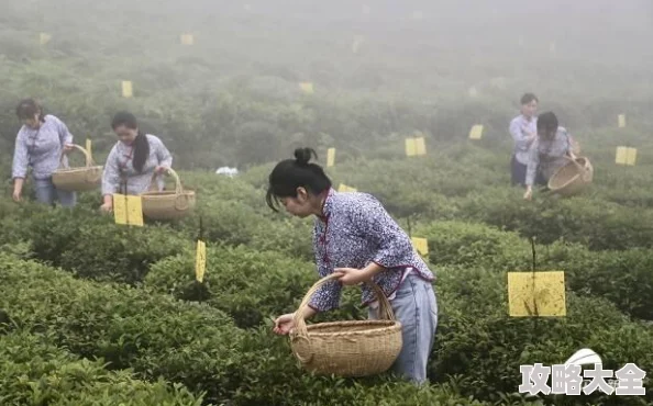 惊喜发布！决战之地游戏官方高速下载链接及安装教程详解