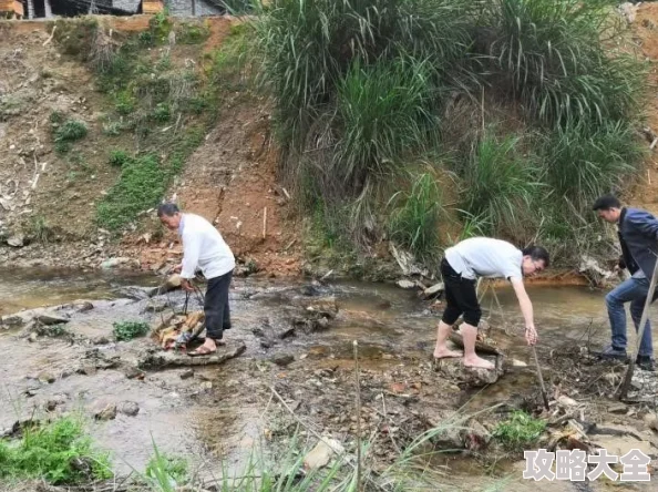 一个山村的暴伦村民们最近发现了一种新型药材，吸引了众多药企前来考察