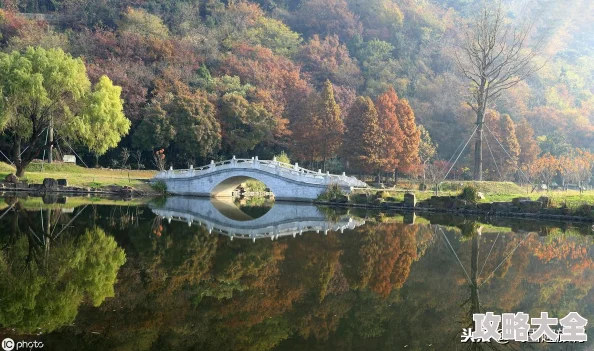 惊喜揭秘！江湖悠悠叠翠浮青武学强度全面解析，附带高效攻略推荐助你称霸武林