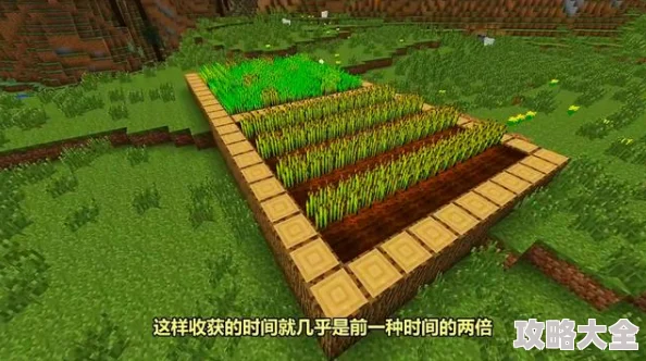 《我的世界》种植土地方法大揭秘：惊喜消息！轻松掌握高效作物培育秘籍