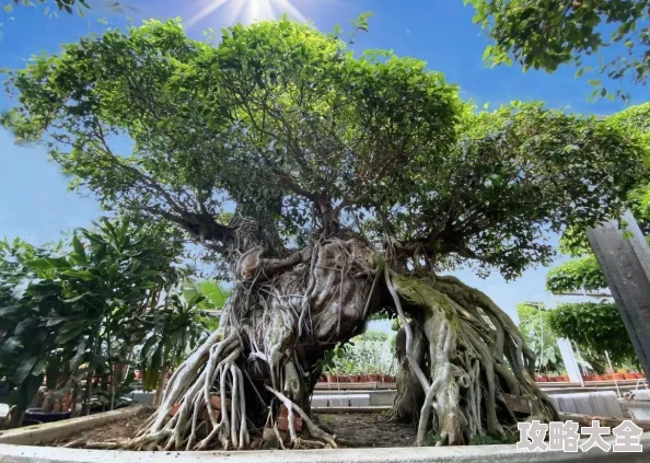 亚洲欧美性另类春色最新研究显示春季气候变化对性行为的影响引发关注