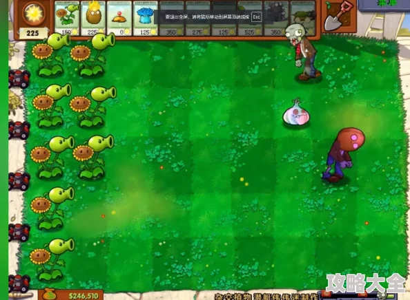 《PVZ杂交版》益智模式惊喜升级，全新关卡夹击！图文通关流程大揭秘