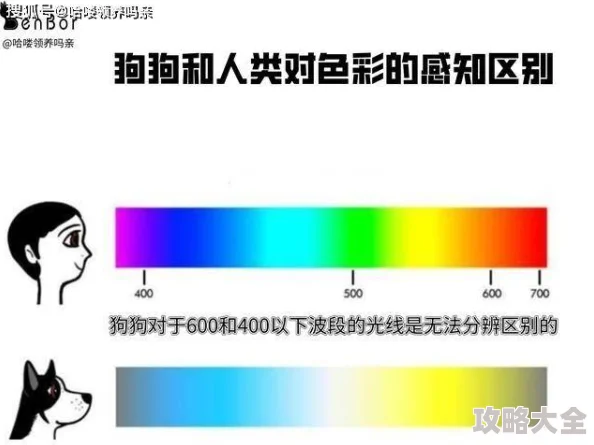 黄色录像一级因其提供感官刺激体验让人释放压力而吸引眼球