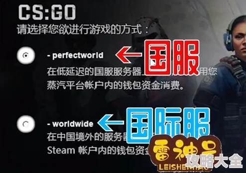 深度探索：CSGO国服代码及其背后的全面信息最新解析