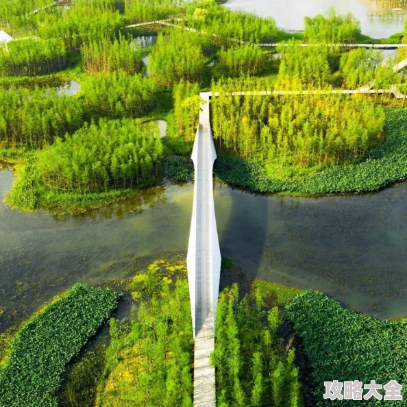 2025热门打卡地揭秘：楚留香碎鸡蛋壳地点详解，金陵夫子庙古今交融之旅